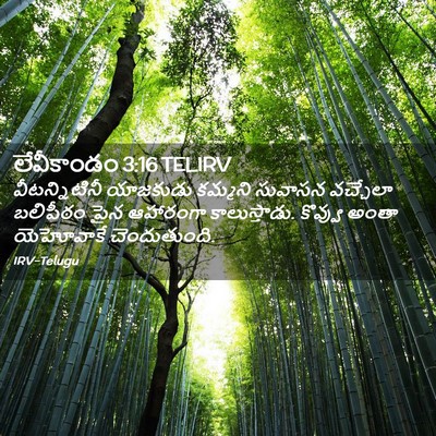 Picture 02 - లేవీకాండం 3:16 TELIRV - వీటన్నిటినీ - Bible Verse Picture