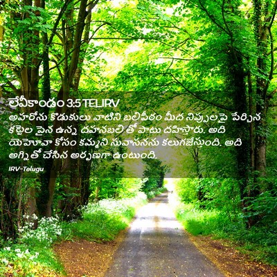 Picture 02 - లేవీకాండం 3:5 TELIRV - అహరోను కొడుకులు - Bible Verse Picture