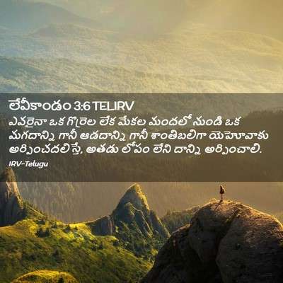 Picture 02 - లేవీకాండం 3:6 TELIRV - ఎవరైనా ఒక గొర్రెల - Bible Verse Picture