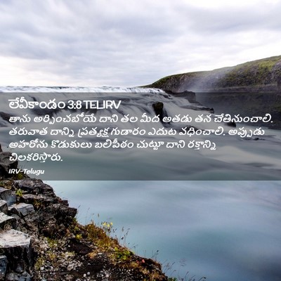 Picture 02 - లేవీకాండం 3:8 TELIRV - తాను అర్పించబోయే - Bible Verse Picture