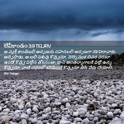 Picture 02 - లేవీకాండం 3:9 TELIRV - ఆ వ్యక్తి - Bible Verse Picture