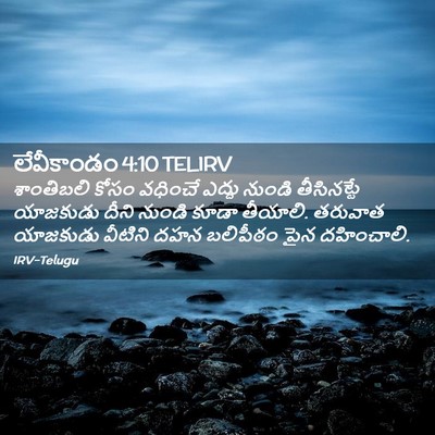 Picture 02 - లేవీకాండం 4:10 TELIRV - శాంతిబలి కోసం - Bible Verse Picture