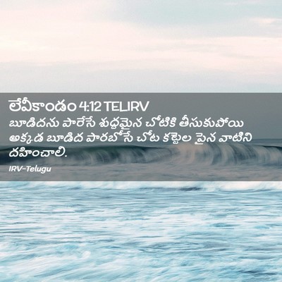 Picture 02 - లేవీకాండం 4:12 TELIRV - బూడిదను పారేసే - Bible Verse Picture