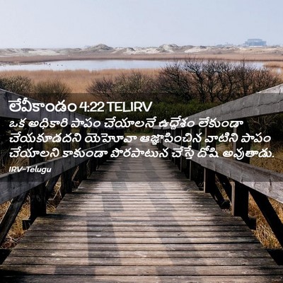 Picture 02 - లేవీకాండం 4:22 TELIRV - ఒక అధికారి పాపం - Bible Verse Picture