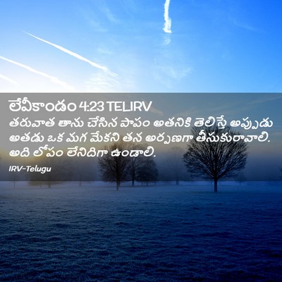 Picture 02 - లేవీకాండం 4:23 TELIRV - తరువాత తాను చేసిన - Bible Verse Picture