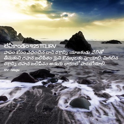 Picture 02 - లేవీకాండం 4:25 TELIRV - పాపం కోసం వధించిన - Bible Verse Picture