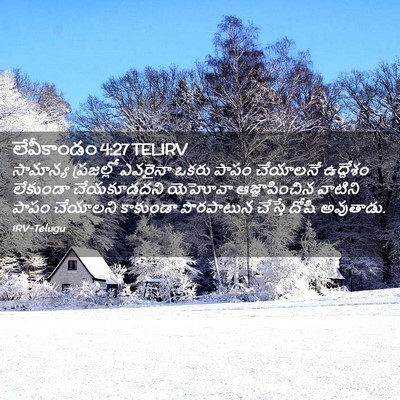 Picture 02 - లేవీకాండం 4:27 TELIRV - సామాన్య ప్రజల్లో - Bible Verse Picture
