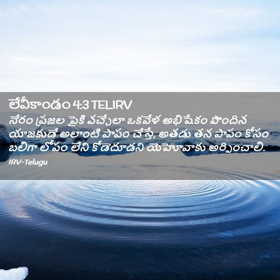 Picture 02 - లేవీకాండం 4:3 TELIRV - నేరం ప్రజల పైకి - Bible Verse Picture