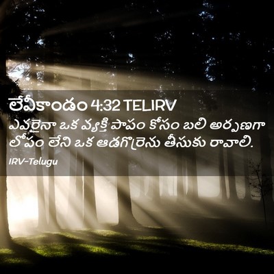 Picture 02 - లేవీకాండం 4:32 TELIRV - ఎవరైనా ఒక వ్యక్తి - Bible Verse Picture