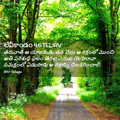 Picture 02 - లేవీకాండం 4:6 TELIRV - తరువాత ఆ యాజకుడు - Bible Verse Picture