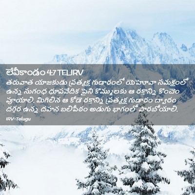 Picture 02 - లేవీకాండం 4:7 TELIRV - తరువాత యాజకుడు - Bible Verse Picture