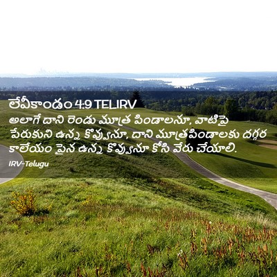 Picture 02 - లేవీకాండం 4:9 TELIRV - అలాగే దాని రెండు - Bible Verse Picture