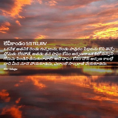Picture 02 - లేవీకాండం 5:11 TELIRV - ఒకవేళ అతనికి - Bible Verse Picture