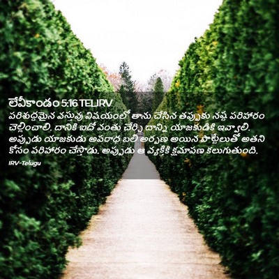 Picture 02 - లేవీకాండం 5:16 TELIRV - పరిశుద్ధమైన - Bible Verse Picture