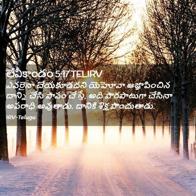 Picture 02 - లేవీకాండం 5:17 TELIRV - ఎవరైనా చేయకూడదని - Bible Verse Picture