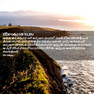 Picture 02 - లేవీకాండం 5:18 TELIRV - అతడు తన అపరాధ బలి - Bible Verse Picture