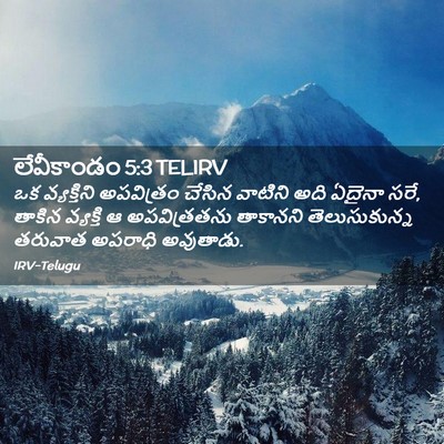 Picture 02 - లేవీకాండం 5:3 TELIRV - ఒక వ్యక్తిని - Bible Verse Picture