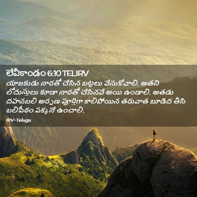 Picture 02 - లేవీకాండం 6:10 TELIRV - యాజకుడు నారతో - Bible Verse Picture