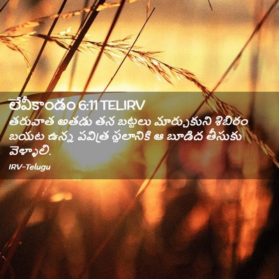 Picture 02 - లేవీకాండం 6:11 TELIRV - తరువాత అతడు తన - Bible Verse Picture