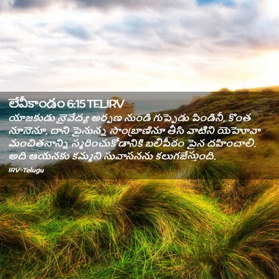 Picture 02 - లేవీకాండం 6:15 TELIRV - యాజకుడు నైవేద్య - Bible Verse Picture