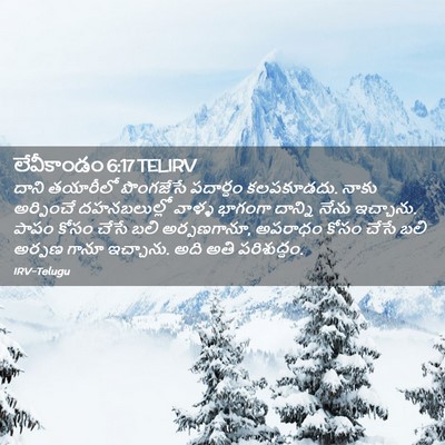 Picture 02 - లేవీకాండం 6:17 TELIRV - దాని తయారీలో - Bible Verse Picture
