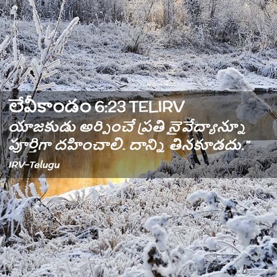 Picture 02 - లేవీకాండం 6:23 TELIRV - యాజకుడు అర్పించే - Bible Verse Picture