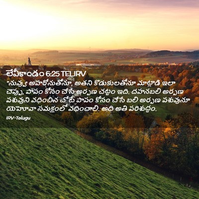 Picture 02 - లేవీకాండం 6:25 TELIRV - “నువ్వు - Bible Verse Picture