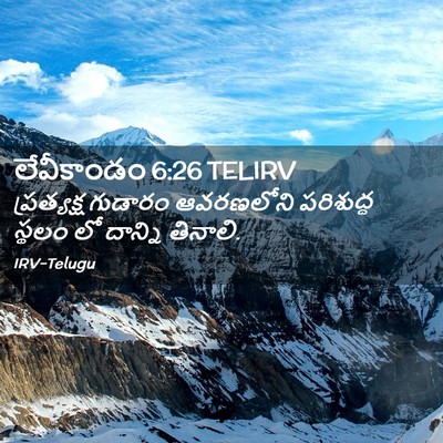 Picture 02 - లేవీకాండం 6:26 TELIRV - ప్రత్యక్ష గుడారం - Bible Verse Picture
