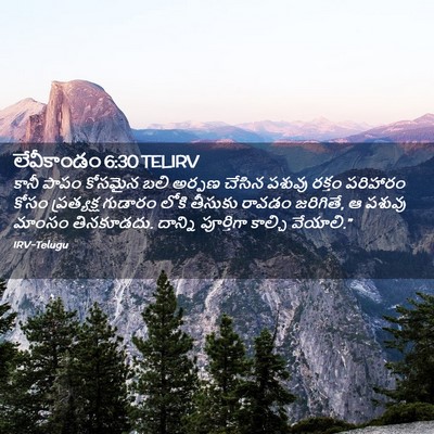 Picture 02 - లేవీకాండం 6:30 TELIRV - కానీ పాపం కోసమైన - Bible Verse Picture