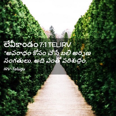 Picture 02 - లేవీకాండం 7:1 TELIRV - “అపరాధం కోసం చేసే - Bible Verse Picture