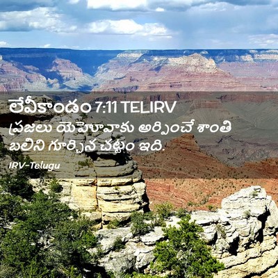 Picture 02 - లేవీకాండం 7:11 TELIRV - ప్రజలు యెహోవాకు - Bible Verse Picture