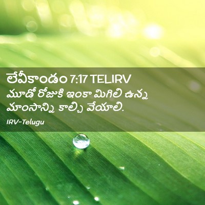 Picture 02 - లేవీకాండం 7:17 TELIRV - మూడో రోజుకి ఇంకా - Bible Verse Picture