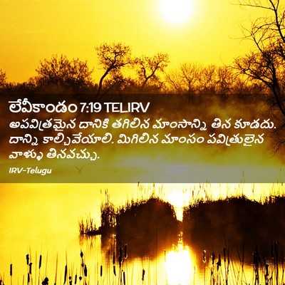 Picture 02 - లేవీకాండం 7:19 TELIRV - అపవిత్రమైన దానికి - Bible Verse Picture