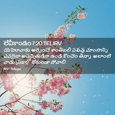 Picture 02 - లేవీకాండం 7:20 TELIRV - యెహోవాకు అర్పించే - Bible Verse Picture