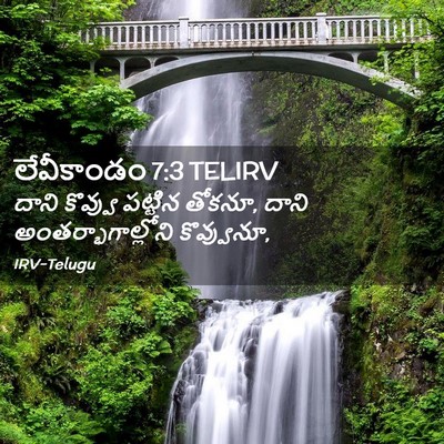 Picture 02 - లేవీకాండం 7:3 TELIRV - దాని కొవ్వు - Bible Verse Picture