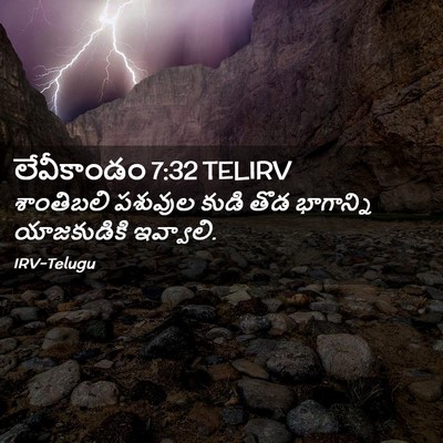 Picture 02 - లేవీకాండం 7:32 TELIRV - శాంతిబలి పశువుల - Bible Verse Picture