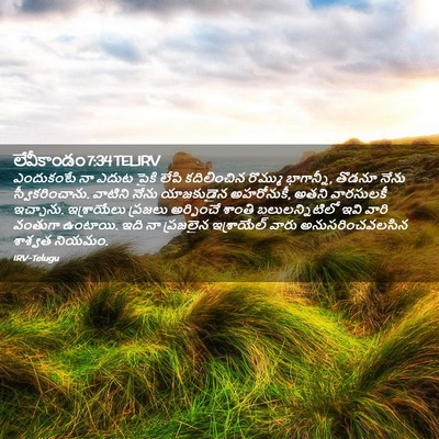 Picture 02 - లేవీకాండం 7:34 TELIRV - ఎందుకంటే నా ఎదుట - Bible Verse Picture