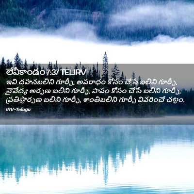 Picture 02 - లేవీకాండం 7:37 TELIRV - ఇవి దహనబలిని - Bible Verse Picture