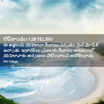 Picture 02 - లేవీకాండం 7:38 TELIRV - ఈ ఆజ్ఞలను యెహోవా - Bible Verse Picture