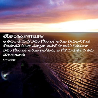 Picture 02 - లేవీకాండం 8:14 TELIRV - ఆ తరువాత మోషే పాపం - Bible Verse Picture