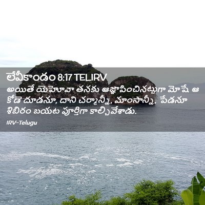 Picture 02 - లేవీకాండం 8:17 TELIRV - అయితే యెహోవా తనకు - Bible Verse Picture