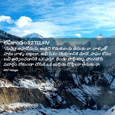 Picture 02 - లేవీకాండం 8:2 TELIRV - “నువ్వు అహరోనును, - Bible Verse Picture