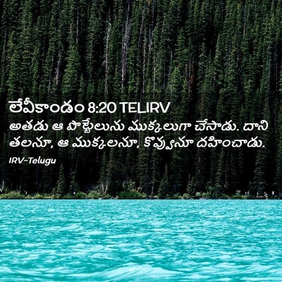 Picture 02 - లేవీకాండం 8:20 TELIRV - అతడు ఆ పొట్టేలును - Bible Verse Picture