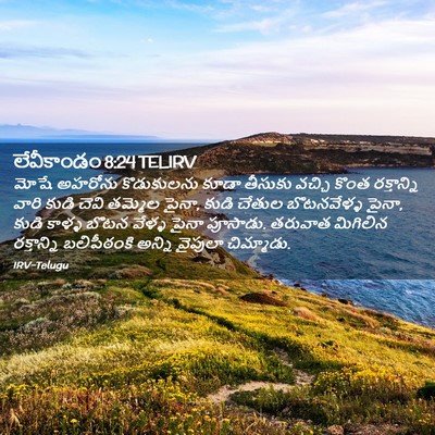 Picture 02 - లేవీకాండం 8:24 TELIRV - మోషే అహరోను - Bible Verse Picture