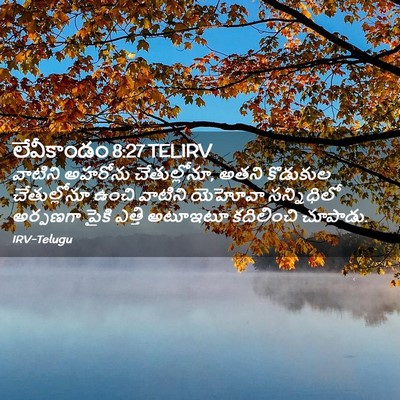 Picture 02 - లేవీకాండం 8:27 TELIRV - వాటిని అహరోను - Bible Verse Picture