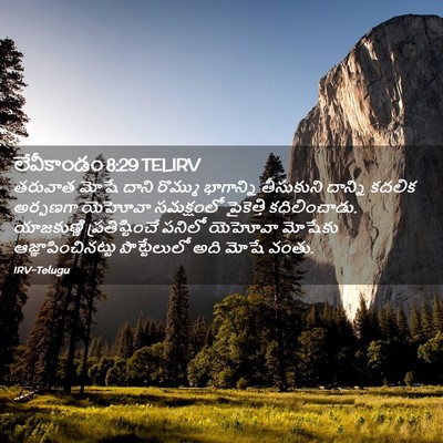Picture 02 - లేవీకాండం 8:29 TELIRV - తరువాత మోషే దాని - Bible Verse Picture