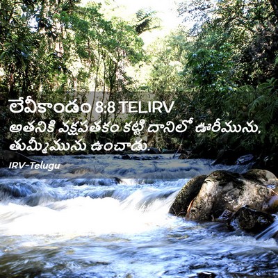 Picture 02 - లేవీకాండం 8:8 TELIRV - అతనికి వక్షపతకం - Bible Verse Picture