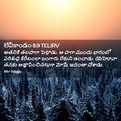 Picture 02 - లేవీకాండం 8:9 TELIRV - అతనికి తలపాగా - Bible Verse Picture