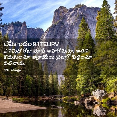 Picture 02 - లేవీకాండం 9:1 TELIRV - ఎనిమిదో రోజు మోషే - Bible Verse Picture