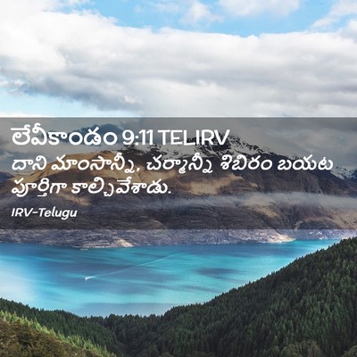 Picture 02 - లేవీకాండం 9:11 TELIRV - దాని మాంసాన్నీ, - Bible Verse Picture
